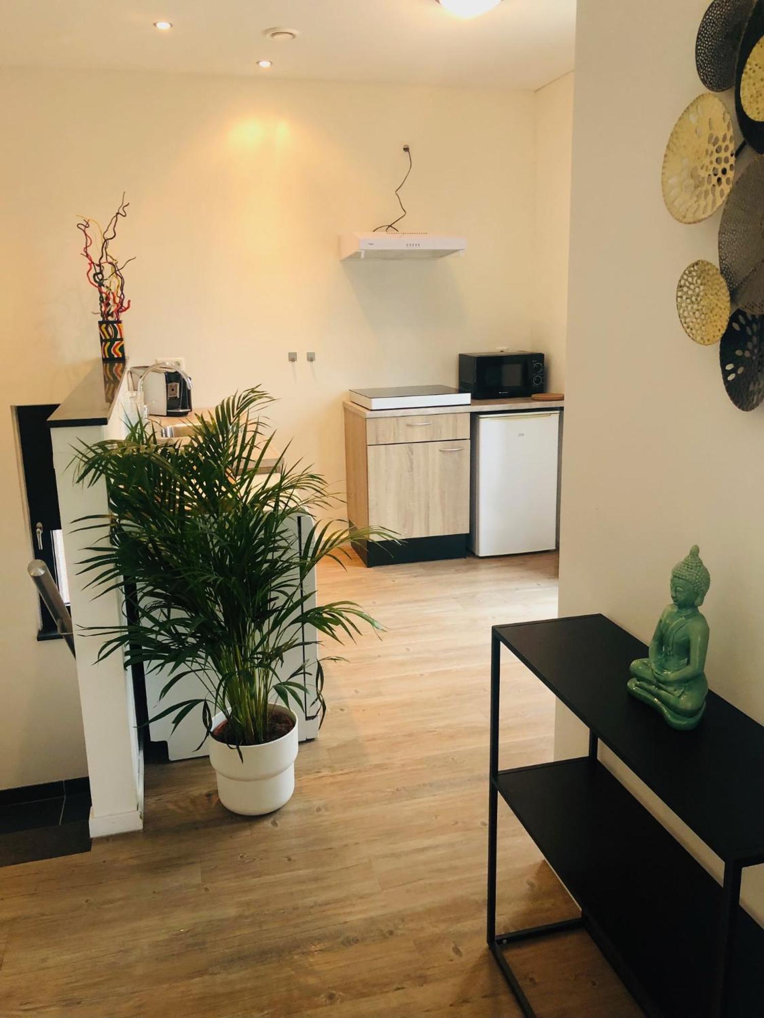 City Zen Apartment Enschede !Free Private Parking Eksteriør billede